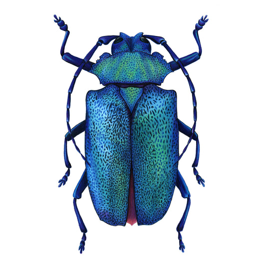 Metallic Longhorn Beetle Print