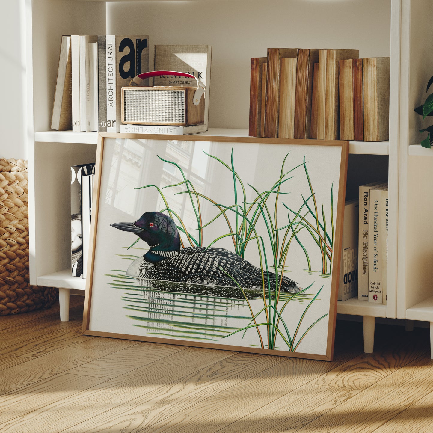 Common Loon Print