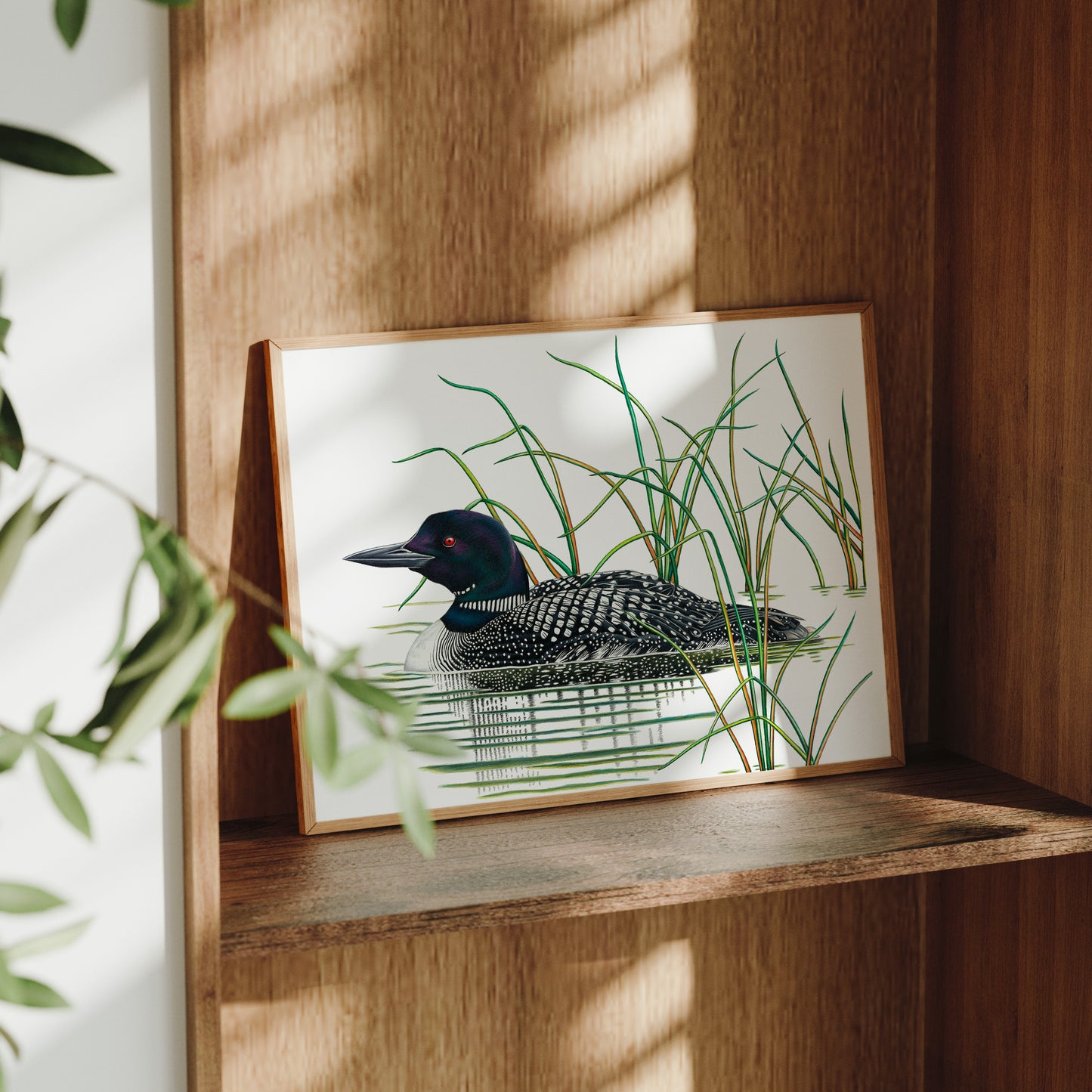 Common Loon Print