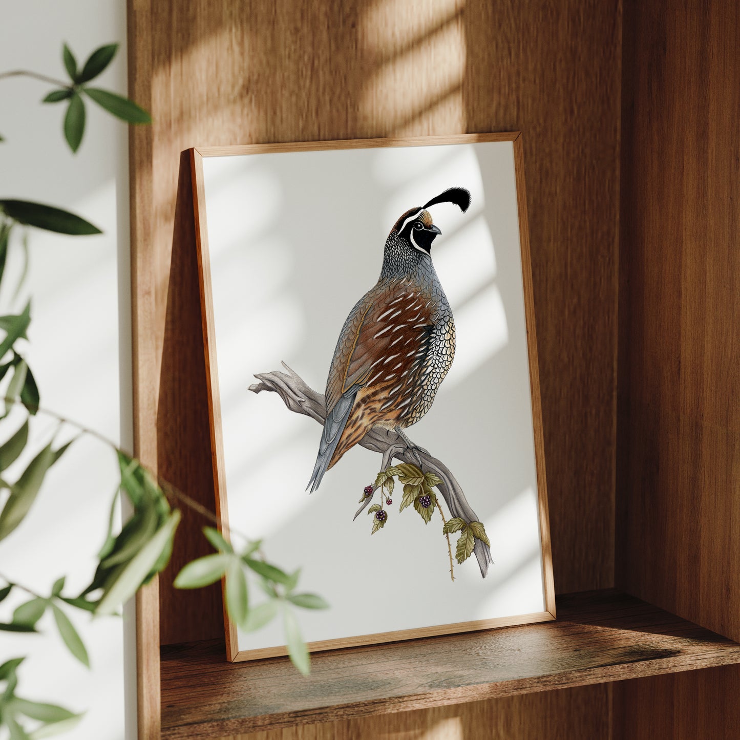 California Quail Print