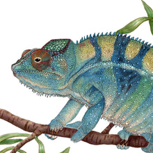 Load image into Gallery viewer, Hand drawn pencil art of panther chameleon by Rachel Diaz-Bastin. Prints available. 
