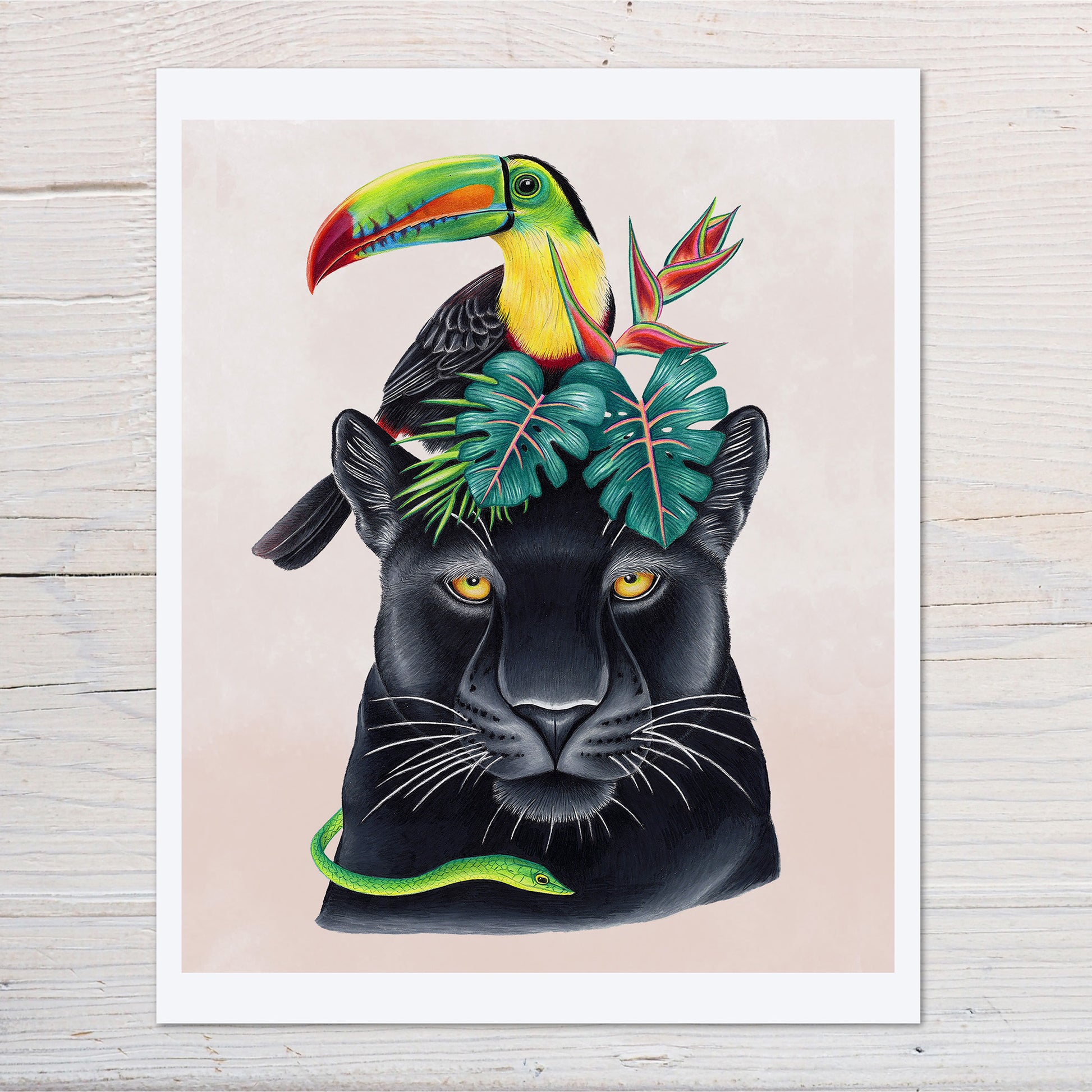 Hand drawn pencil art of black jaguar with toucan and tropical plants by Rachel Diaz-Bastin. Prints available.