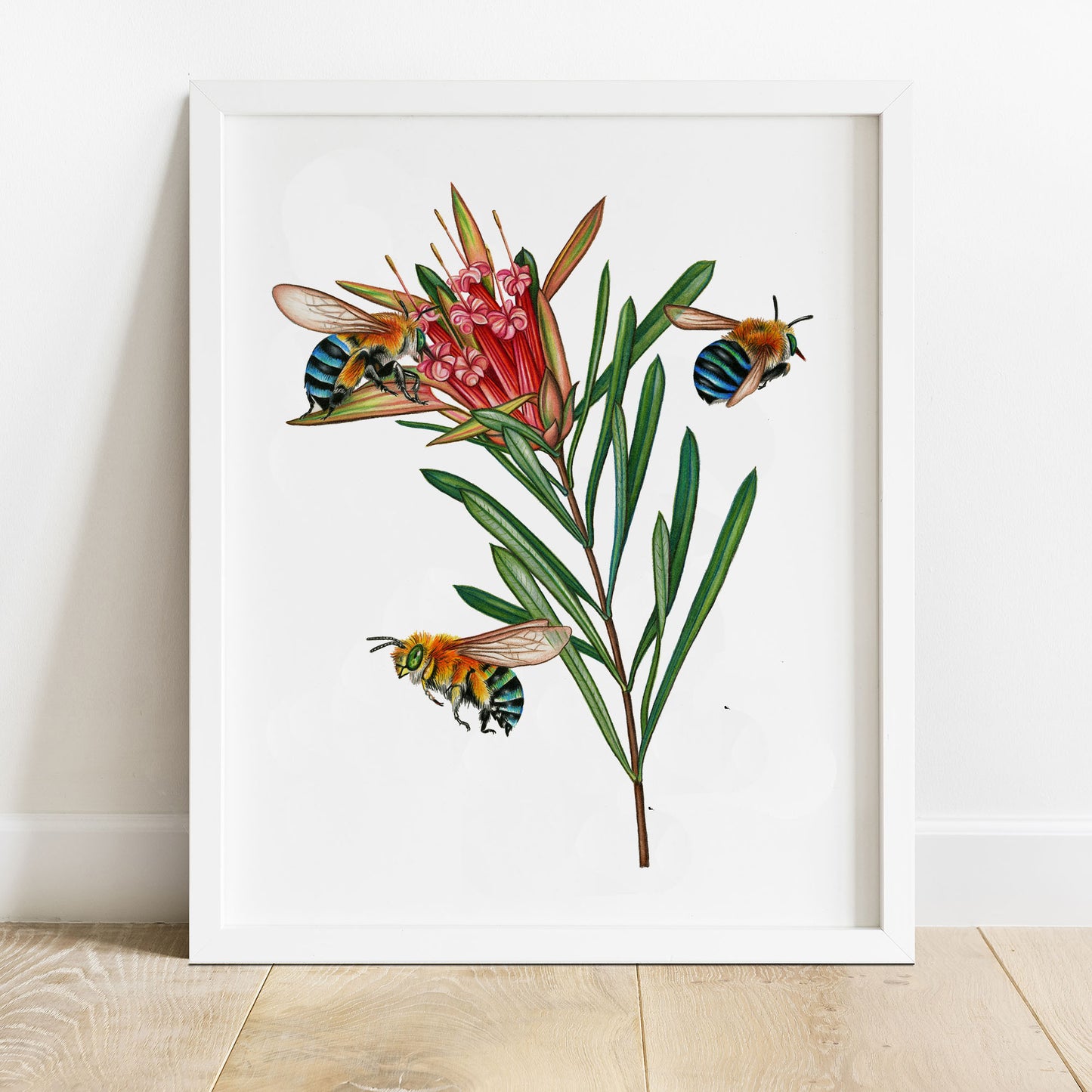 Hand drawn pencil art of blue-banded bees on a protea flower by Rachel Diaz-Bastin. Prints available.