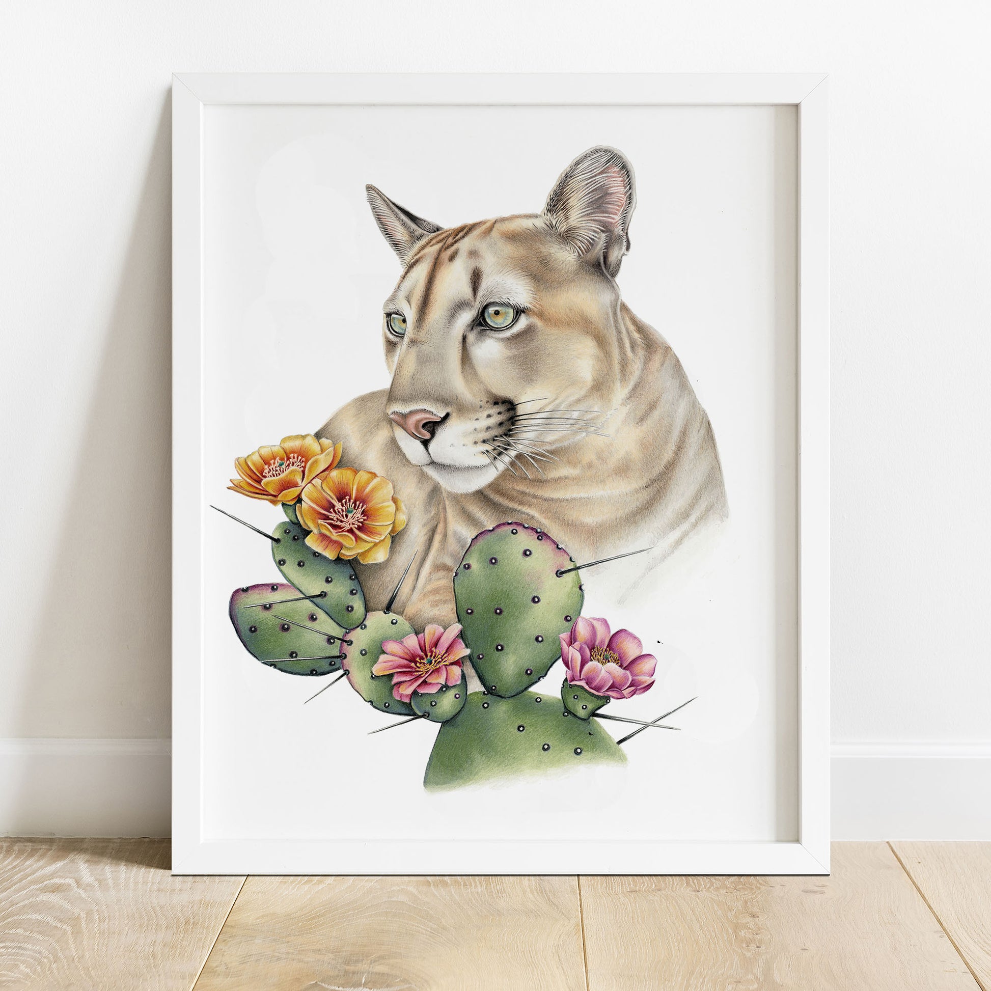 hand drawn colored pencil illustration of a mountain lion with Opuntia cactus, prints available.