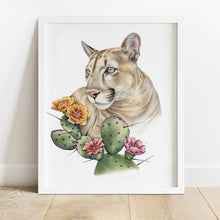 Load image into Gallery viewer, hand drawn colored pencil illustration of a mountain lion with Opuntia cactus, prints available.

