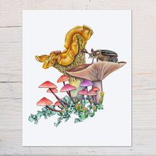 Load image into Gallery viewer, Hand drawn pencil art of mushrooms and June beetle by Rachel Diaz-Bastin. Prints available.
