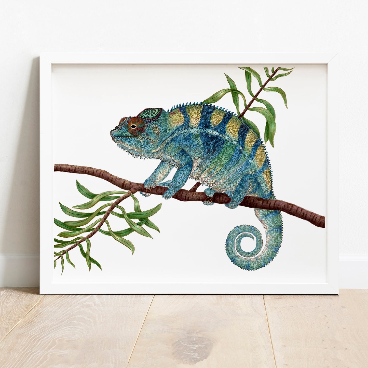 Hand drawn pencil art of panther chameleon by Rachel Diaz-Bastin. Prints available.