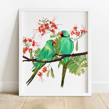 Load image into Gallery viewer, Rose-ringed Parakeets
