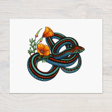 Load image into Gallery viewer, Hand drawn pencil art of a San Francisco garter snake and California poppy by Rachel Diaz-Bastin. Prints available.

