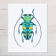 Load image into Gallery viewer, Hand drawn pencil art of turquoise longhorn beetle by Rachel Diaz-Bastin. Prints available.
