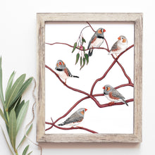 Load image into Gallery viewer, Zebra Finches Print
