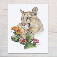 Load image into Gallery viewer, hand drawn colored pencil illustration of a mountain lion with Opuntia cactus, prints available.
