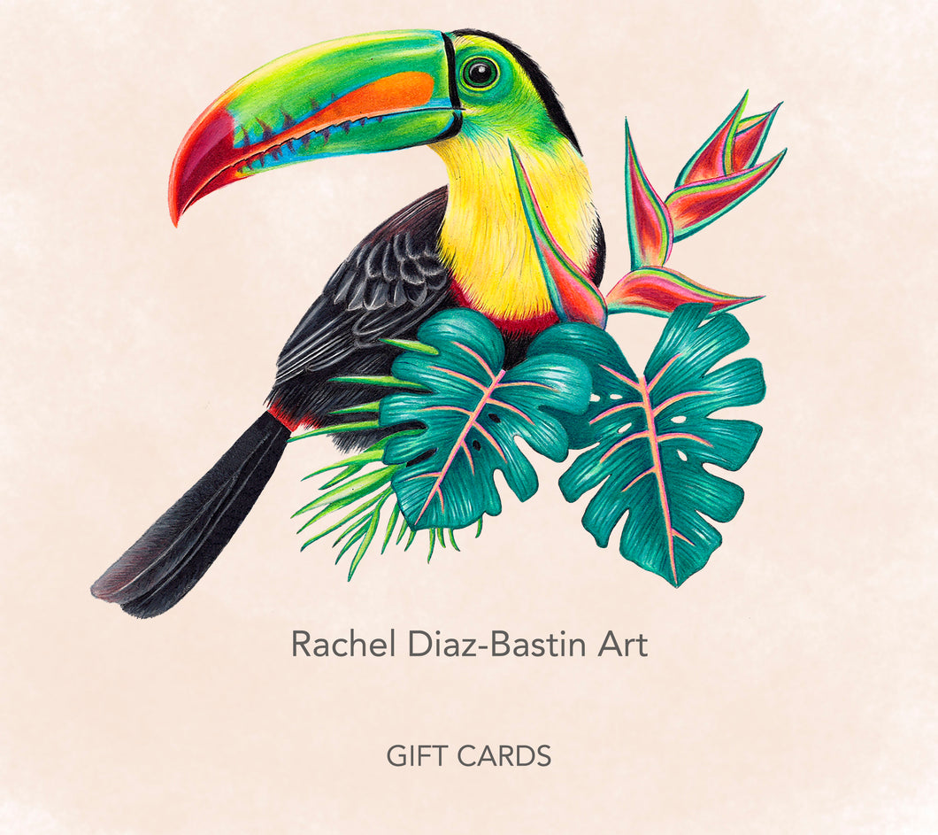 Rachel Diaz-Bastin Art gift cards available.