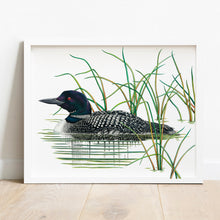 Load image into Gallery viewer, Hand drawn pencil art of a Common Loon by Rachel Diaz-Bastin. Prints available.
