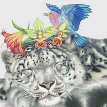 Load image into Gallery viewer, Hand drawn pencil art of snow leopard with bird and orchids by Rachel Diaz-Bastin. Prints available.
