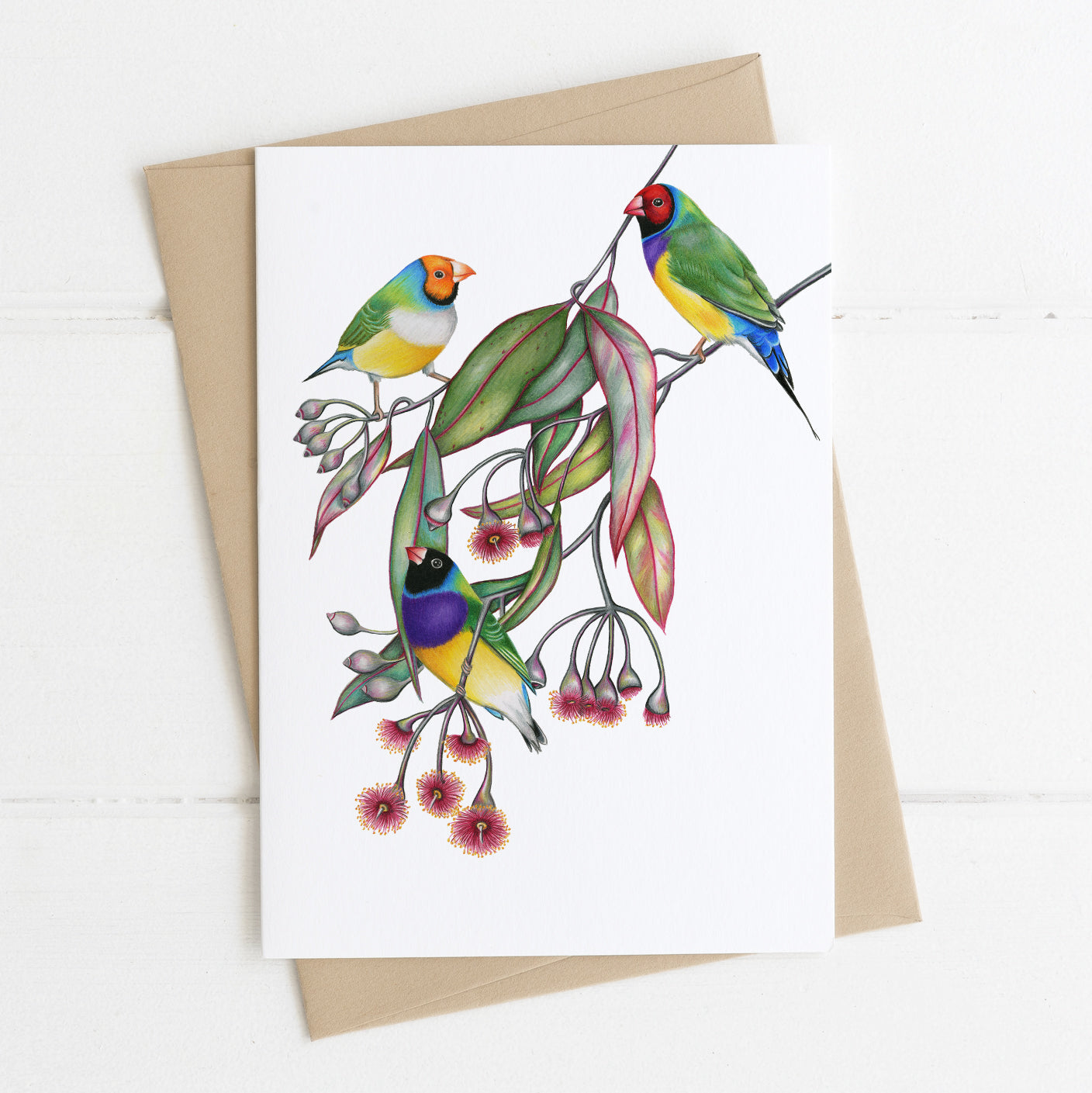 Greeting card blank inside printed with Gouldian Finch and eucalyptus blossom design by Rachel Diaz-Bastin Art