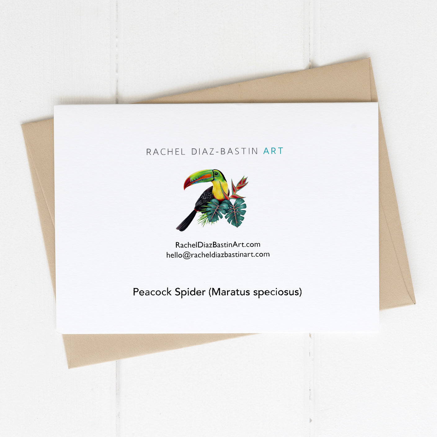 Greeting card blank inside printed with Coastal Peacock spider (Maratus speciosus), design by Rachel Diaz-Bastin Art