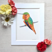 Load image into Gallery viewer, Original pencil art drawing of an Allen&#39;s hummingbird sitting on a branch by Rachel Diaz-Bastin. Original artwork available.
