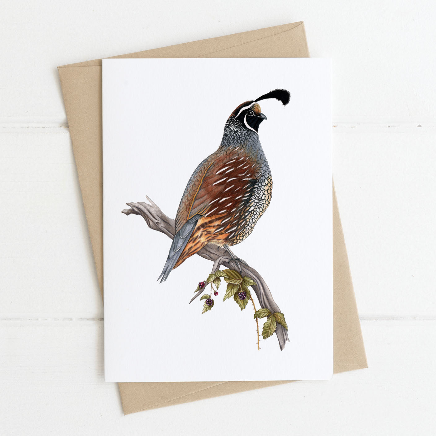Greeting card blank inside printed with California quail design by Rachel Diaz-Bastin Art, California native animal