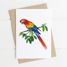 Load image into Gallery viewer, Greeting card blank inside printed with scarlet macaw design by Rachel Diaz-Bastin Art
