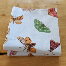 Load image into Gallery viewer, Hand drawn pencil art of moths by Rachel Diaz-Bastin. Tea towels available. 
