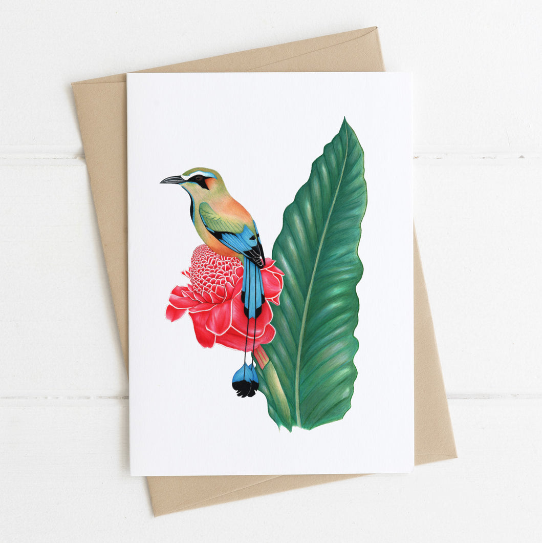 Greeting card blank inside printed with Motmot design by Rachel Diaz-Bastin Art