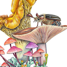 Load image into Gallery viewer, Hand drawn pencil art of mushrooms and June beetle by Rachel Diaz-Bastin. Prints available. 
