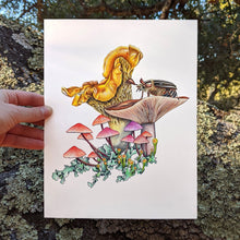 Load image into Gallery viewer, Hand drawn pencil art of mushrooms and June beetle by Rachel Diaz-Bastin. Prints available. 
