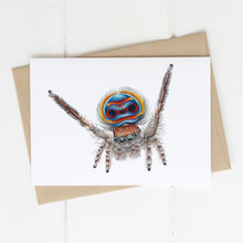 Load image into Gallery viewer, Greeting card blank inside printed with Coastal Peacock spider (Maratus speciosus), design by Rachel Diaz-Bastin Art
