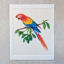 Load image into Gallery viewer, Scarlet Macaw Original Art
