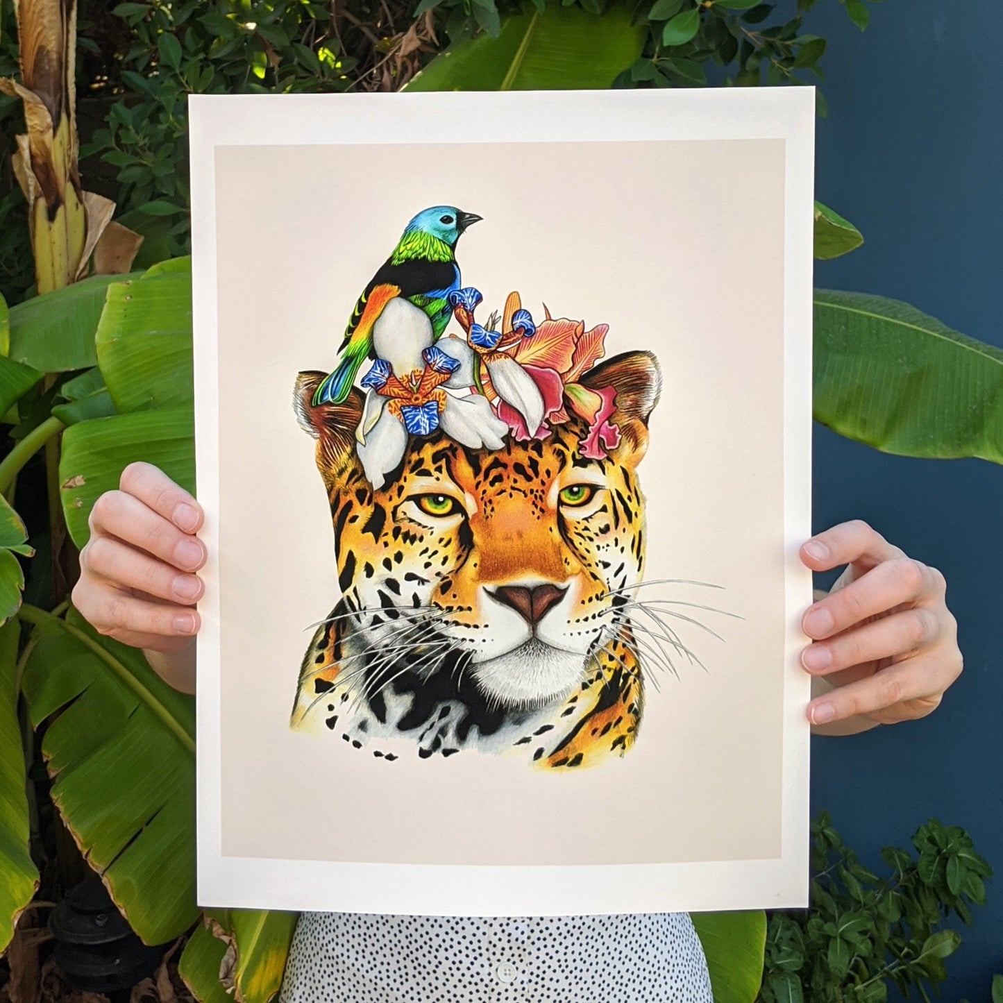 Hand drawn pencil art of jaguar with tropical bird and flowers by Rachel Diaz-Bastin. Prints available. 